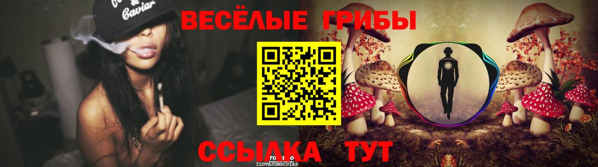 Галлюциногенные грибы GOLDEN TEACHER Мегион